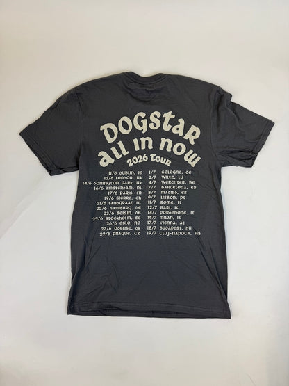 45.1 DOGSTAR - Dogstar Grey Tee