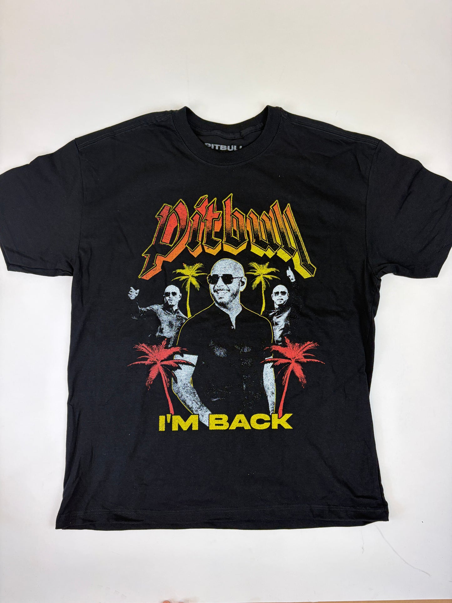06.3 PITBULL - Palm Tree Black Tee