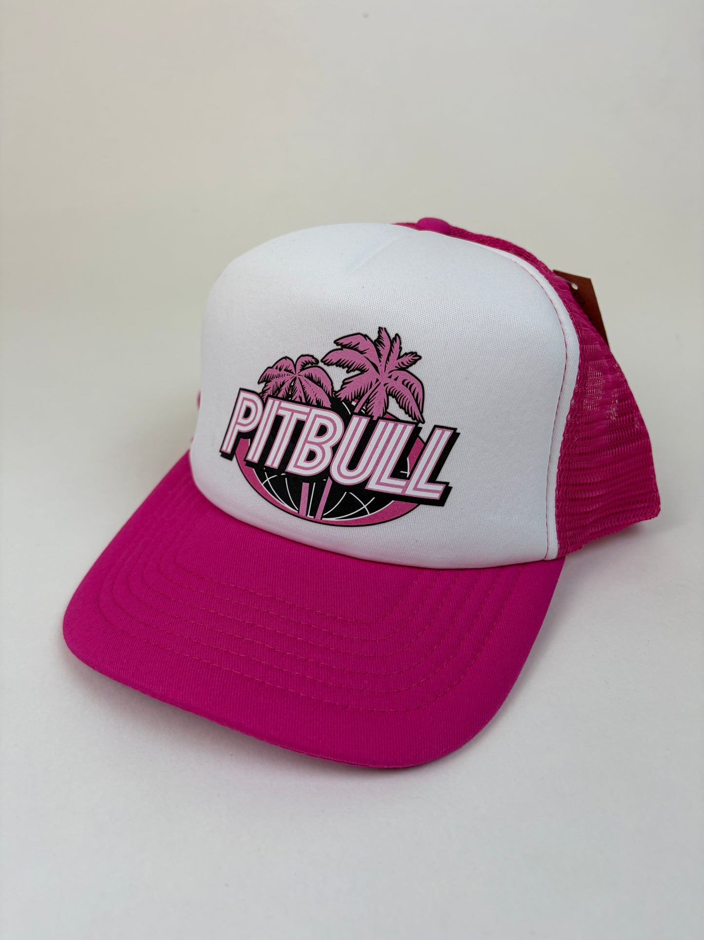 06.5 PITBULL - Mr Worldwide Pink Cap