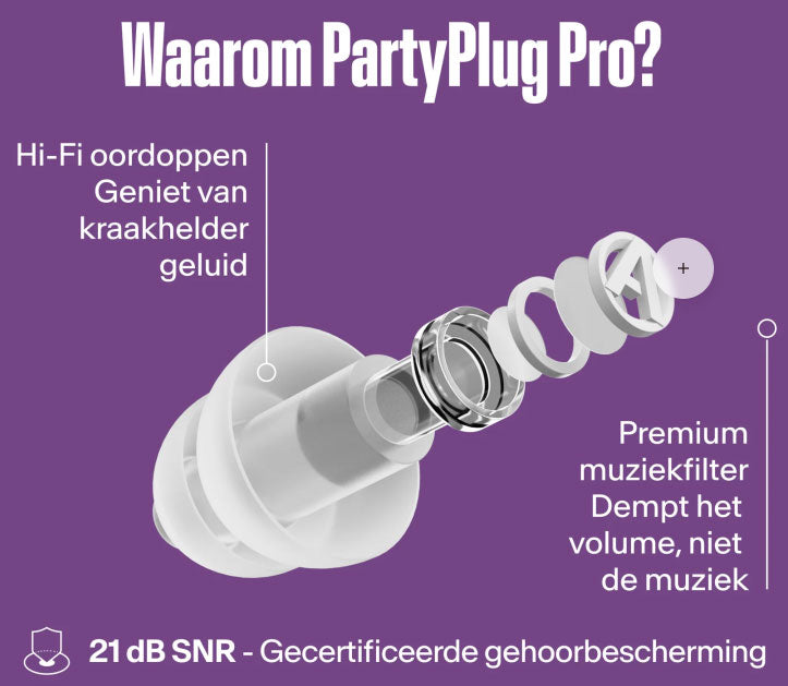 RW x ALPINE Earplugs