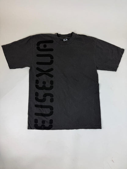 32.2 FKA TWIGS - EUSEXUA GREY TEE